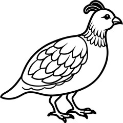 Elegant Quail in Minimal Vector Art