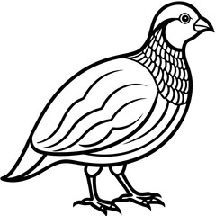 Elegant Quail in Minimal Vector Art