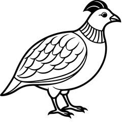Elegant Quail in Minimal Vector Art