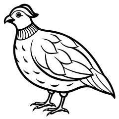 Elegant Quail in Minimal Vector Art