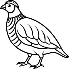 Elegant Quail in Minimal Vector Art