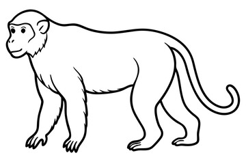 Minimalist Proboscis Monkey Line Art