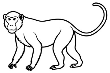 Minimalist Proboscis Monkey Line Art