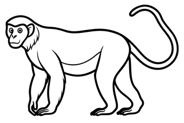 Minimalist Proboscis Monkey Line Art