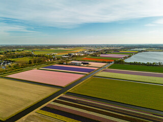 Aerial view of picturesque farmland near the coast with colorful flower fields, dense forests....