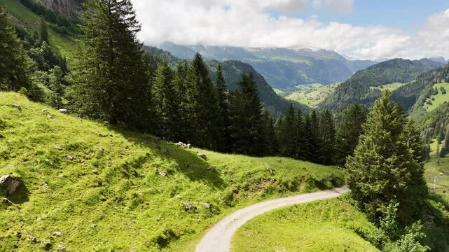 9 juli 2024, Wildhaus, Switzerland. Drone flight above Alpstein mountains, beautiful pine tree forest, and alpine meadow. mountain trail. Hiking trail visible in wonderful scenery. Tranquil, peaceful 