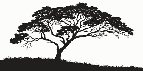 Silhouette of a Majestic Tree: An elegant silhouette of a lush tree against a gradient backdrop, its intricate branches reaching skyward, evokes a sense of nature's serenity and the passage of time.