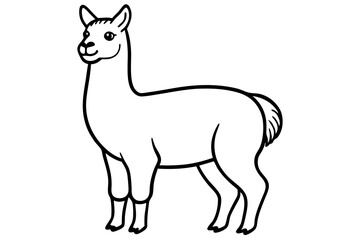 vector illustration of a llama