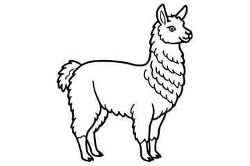 Naklejka premium vector illustration of a llama