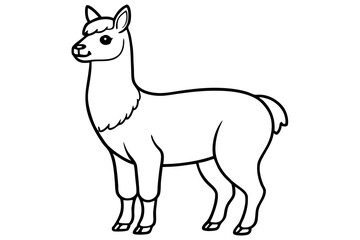 vector illustration of a llama