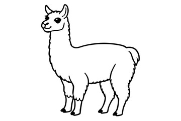 vector illustration of a llama