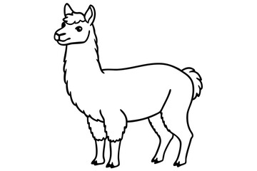 vector illustration of a llama
