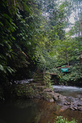 Puente de madera en la cascada Sekumpul, Bali, Indonesia