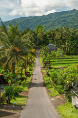 Carretera recta entre palmeras con montaña y niebla, Bali, Indonesia