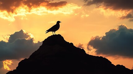 A silhouette of a grouse poised atop a rocky outcrop