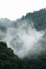Niebla en la selva, Bali