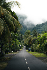 Carretera recta entre palmeras con montaña y niebla, Bali, Indonesia