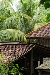 Casa en la selva entre palmeras, Bali