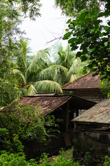 Casa en la selva entre palmeras, Bali