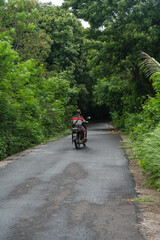 Naklejka premium Persona mayor en moto por carretera de selva, Bali, Indonesia