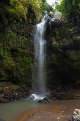 Fototapeta premium Cascada pequeña en la selva, Bali, Indonesia