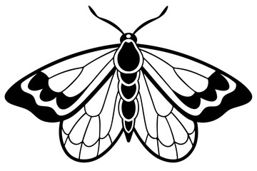 Minimalist Opal Moth Vector Art