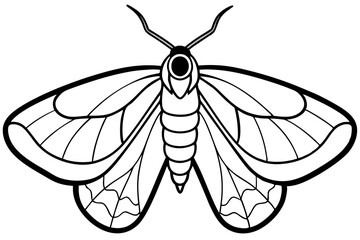 Minimalist Opal Moth Vector Art