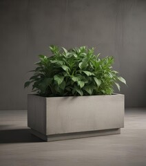 Lush green plant thriving in a modern concrete planter ,  simple,  leaves