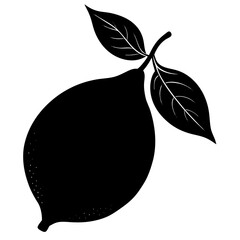 Food Lemon silhouette vector illustrator