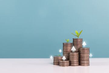 Investment,interest rates,dividends,deposits and saving money.Growing tree on increasing coins stacking with arrow up Indicate investment growth, finance and investment