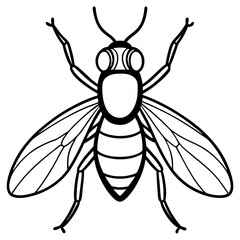 Horsefly Outline – Clean Vector Style