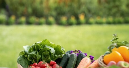 fresh vegetables in a basket for a world food day