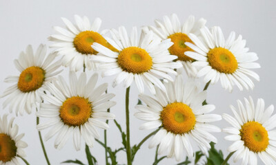 Fototapeta premium Fresh bouquet of white and yellow flowers in a decorative vase, perfect for home decor or gift giving