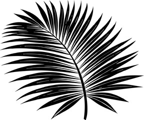 A tropical palm silhouette vector illustration showcases a leaf pattern against a white background