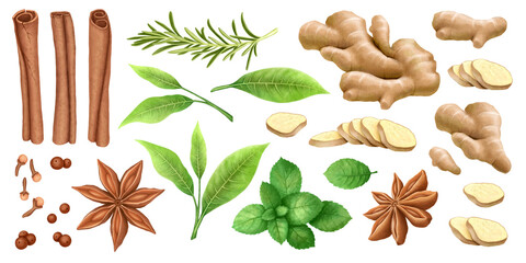 Watercolor Herbs And Spices Set.