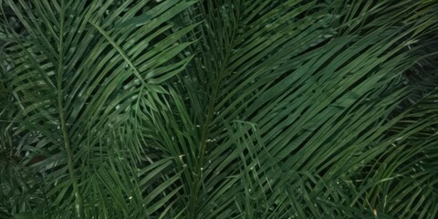 Deep emerald palm leaf surface, showing fine detail and rich texture ,  exotic,  nature