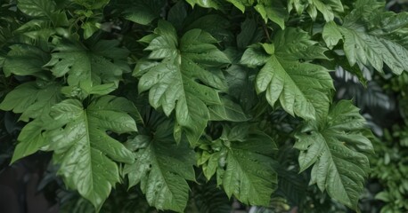 Bright green leaves, close-up shot showing intricate details , shot, botanical, closeup