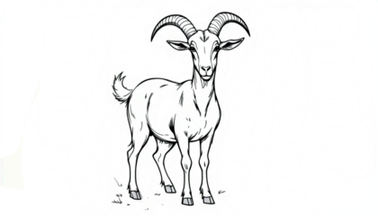 Black and White Goat Line Art Vector - Standing Position, No Shading, Coloring Book Illustration