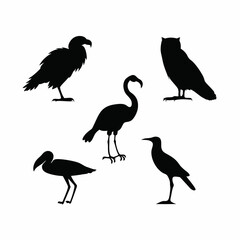 Obraz premium silhouettes of birds,Bird Silhouette Collection , Vector art of collection of bird silhouettes isolated on white background, including vulture, flamingo, owl, ibis, and crow, representing wildlife