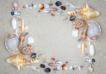 Fototapeta premium Flat lay composition with beautiful shells on sand. Vacation, beach and sea concept.