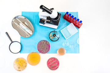 Examine bacteria in petri dishes in the laboratory. Selective focus.