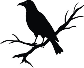 raven bird silhouette on a dead tree branch 