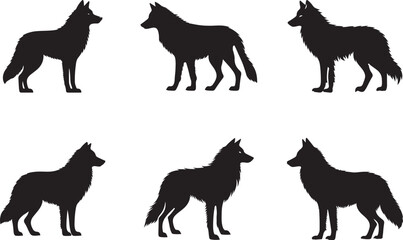 The Mysterious Silhouette Of The Wolf Symbolism, Behavior and Importance in Nature