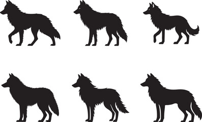 The Black  Silhouette of a Dog Breeds, Poses and Details of the Animal
