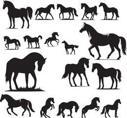 Horses silhouette