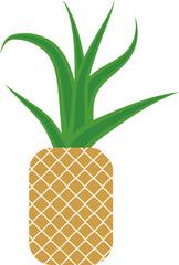 Pineapple with leaves. Tropical fruit 1. Vitaminized healthy food. Tropical design. Vector illustration