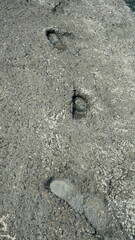 Fußabdrücke in Beton