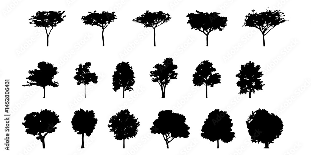 Aufkleber silhouette tree line drawing set, Side view, set of graphics trees elements outline symbol for architecture and landscape design drawing. Vector illustration in stroke fill in white. Tropical