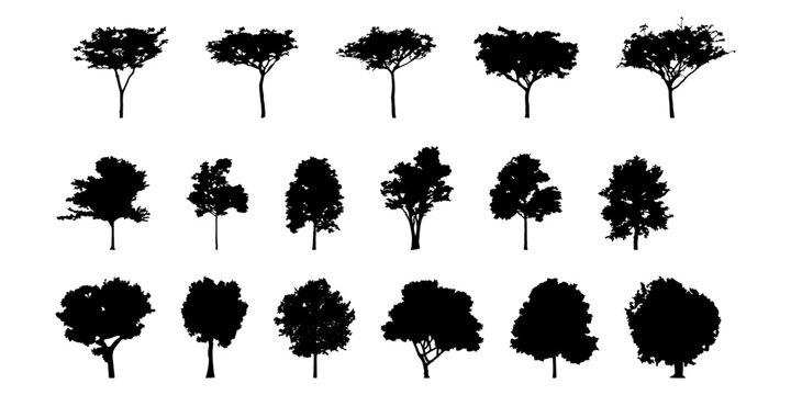 silhouette tree line drawing set, Side view, set of graphics trees elements outline symbol for architecture and landscape design drawing. Vector illustration in stroke fill in white. Tropical