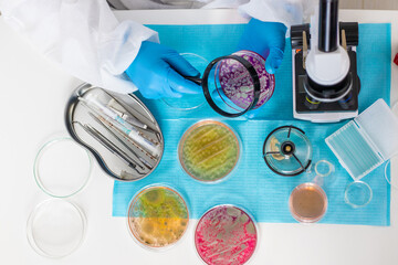Examine bacteria in petri dishes in the laboratory. Selective focus.